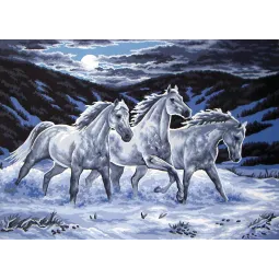 Toile imprimée 50x70 Trio au clair de lune CDA12975