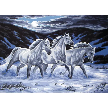 Printed Canvas 50x70 Trio in the Moonlight CDA12975