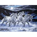 Printed Canvas 50x70 Trio in the Moonlight CDA12975