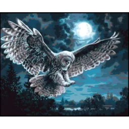 Atspausdinta drobė 50x40 Naktinis medžiotojas CDA11883