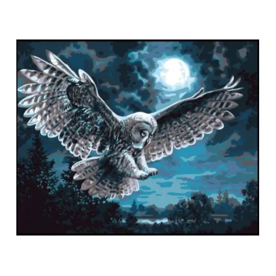 Toile imprimée 50x40 Night hunter CDA11883