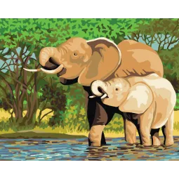 Toile Imprimée 50x40 Éléphants CDA11878