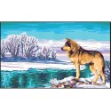 Printed Canvas 50x30 Wolf CDA11869