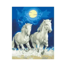 Toile imprimée 50x40 Chevaux blancs au clair de lune CDA11857