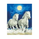 Printed Canvas 50x40 White Horses by Moonlight CDA11857