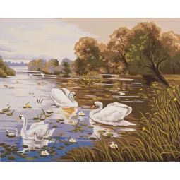 Печать на холсте 50x40 Лебединое озеро CDA11591