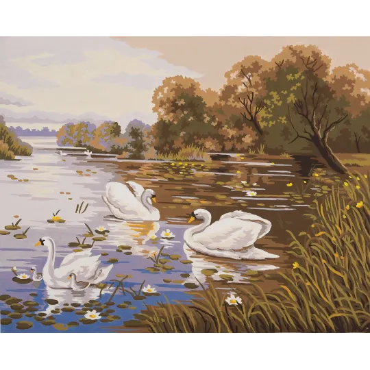Printed Canvas 50x40 Swan Lake CDA11591