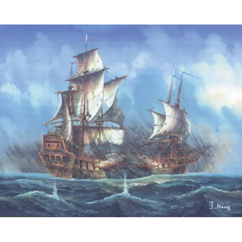 Toile imprimée 50x40 Bataille en mer CDA11473