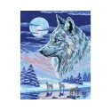Printed Canvas 50x40 The Wolf Spirit CDA11408