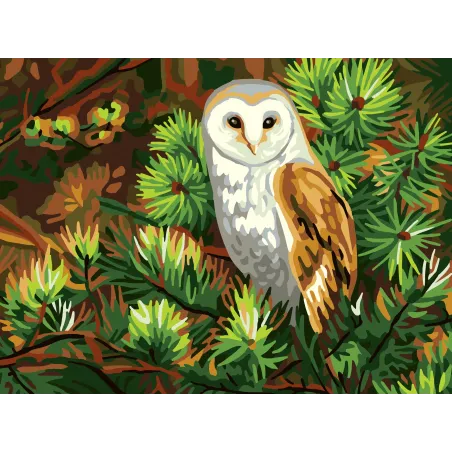 Toile imprimée 40x30 Hibou CDA10518W