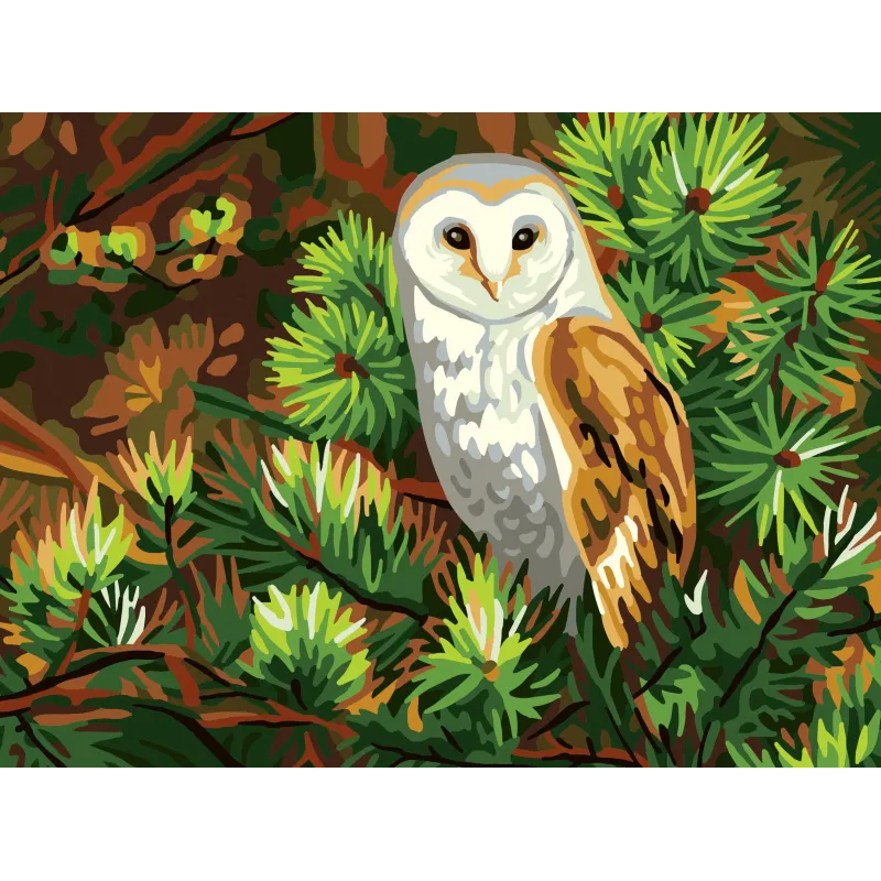 Printed Canvas 40x30 Owl CDA10518W