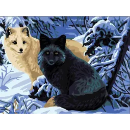 Printed Canvas 40x30 Foxes CDA10514W
