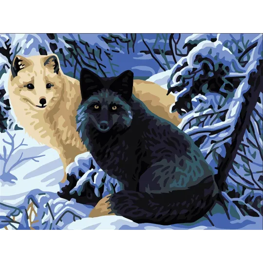 Printed Canvas 40x30 Foxes CDA10514W