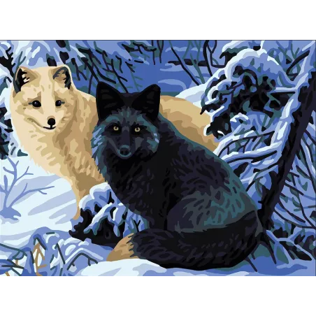 Printed Canvas 40x30 Foxes CDA10514W