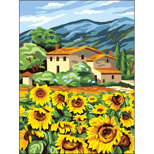 Spausdinta drobė 30x40 saulėgrąžų laukas CDA10506