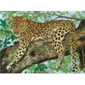 Printed Canvas 30x40 Cheetah CDA10359