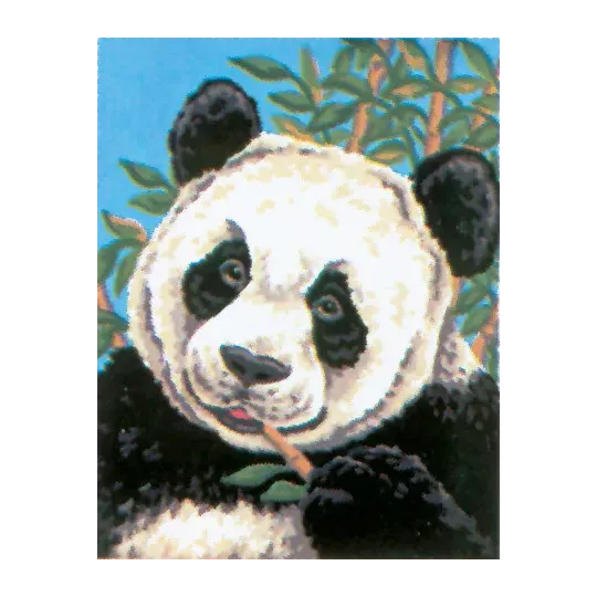 Toile Imprimée 14x18 Panda CDA3088
