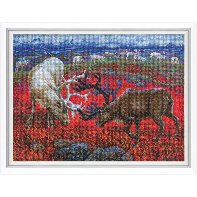 Kryželių rinkinys RTOM1014