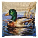 Kissen-Set Drake 40 X 40 cm CDA5449
