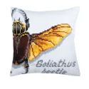 Kit coussin Goliathus beetle 40 X 40 cm CDA5362