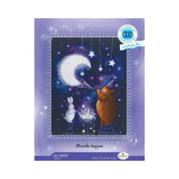 Cross-stitch kit "Miracles happen" RTOM950