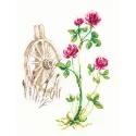 Cross-stitch kit "Bloomy herbs" M776