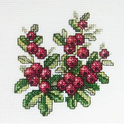 Kryželio rinkinys "Cowberry" H249
