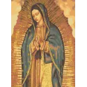 Printed Canvas 22x30 Our Lady of Guadeloupe CDA6271