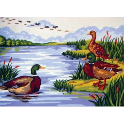 Toile Imprimée 22x30 Mallard Lake CDA6237