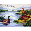 Spausdintas drobas 22x30 Mallard Lake CDA6237
