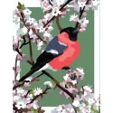 Printed Canvas 14x18 Bullfinch CDA3344