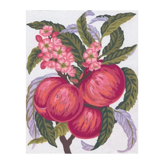 Printed Canvas 14x18 Peaches CDA3160