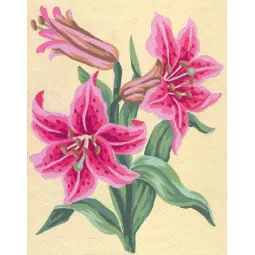 Toile imprimée 14x18 Lillies roses CDA3106