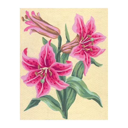 Printed Canvas 14x18 Pink Lillies CDA3106
