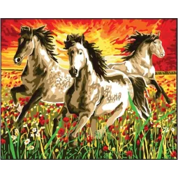 Printed Canvas 50x40 Horses at sunset CDA11868
