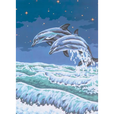 Spausdintas drobė 50x40 Starlight Frolic CDA11497