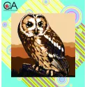 Kit de tapisserie avec toile imprimée 19x19 Hibou brun CDA4006K