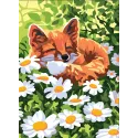 Toile imprimée 22x30 Fox CDA6328