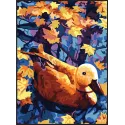 Printed Canvas 22x30 Duck CDA6326