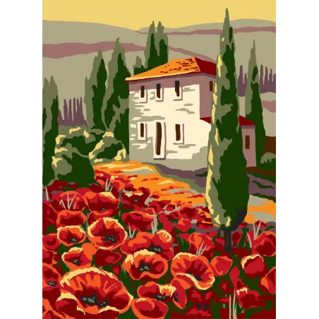 Spausdinta drobė 22x30 Namas ir aguonos CDA6300