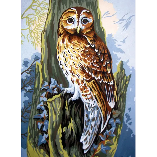 Printed Canvas 22x30 Owl CDA6252