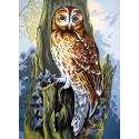 Printed Canvas 22x30 Owl CDA6252
