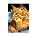 Toile imprimée 22x30 Chaton doré CDA6229