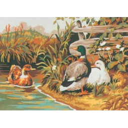 Printed Canvas 22x30 Ducks CDA6029