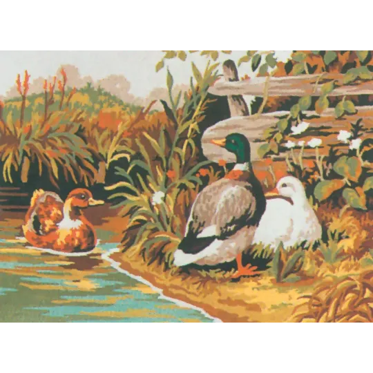 Bedruckte Leinwand 22x30 Ducks CDA6029