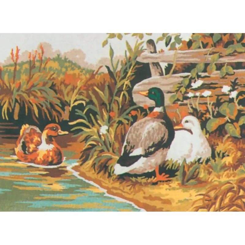 Печатный холст 22x30 Ducks CDA6029