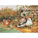 Printed Canvas 22x30 Ducks CDA6029