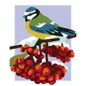 Printed Canvas 14x18 Titmouse CDA3345