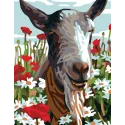 Printed Canvas 14x18 Goat CDA3342