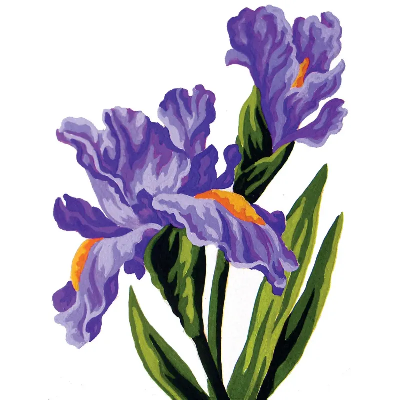 Printed Canvas 14x18 Irises CDA3286
